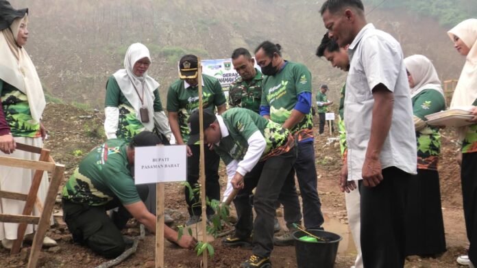 Aksi Nyata Pemulihan Lahan Bekas Longsor, 1.200 Bibit Tanaman Ditanam di Pasaman Barat lahan bekas longsor